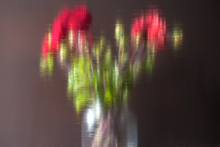 <I>Red dahlias</I> 2019 digital print on Hahnemühle paper 65 x 55 cm unique work private collection