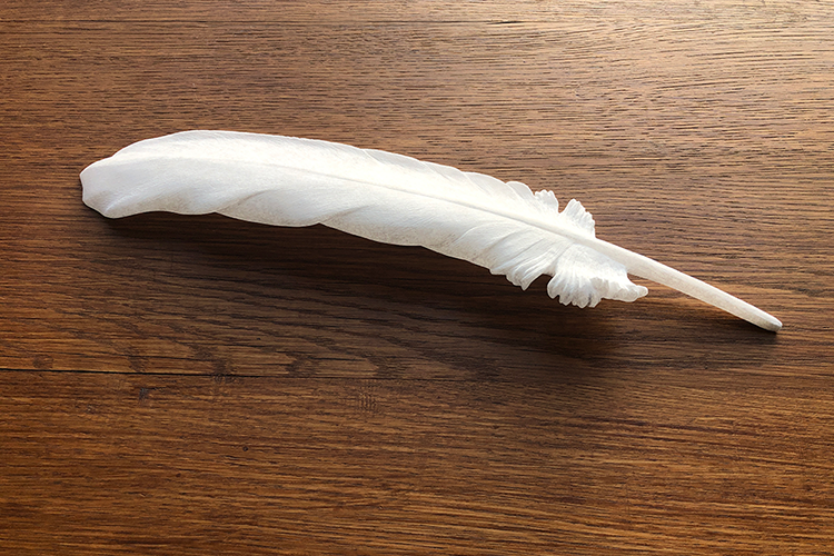 <I>Feather</I> 2020 alabaster 3 x 33,5 x 7 cm 