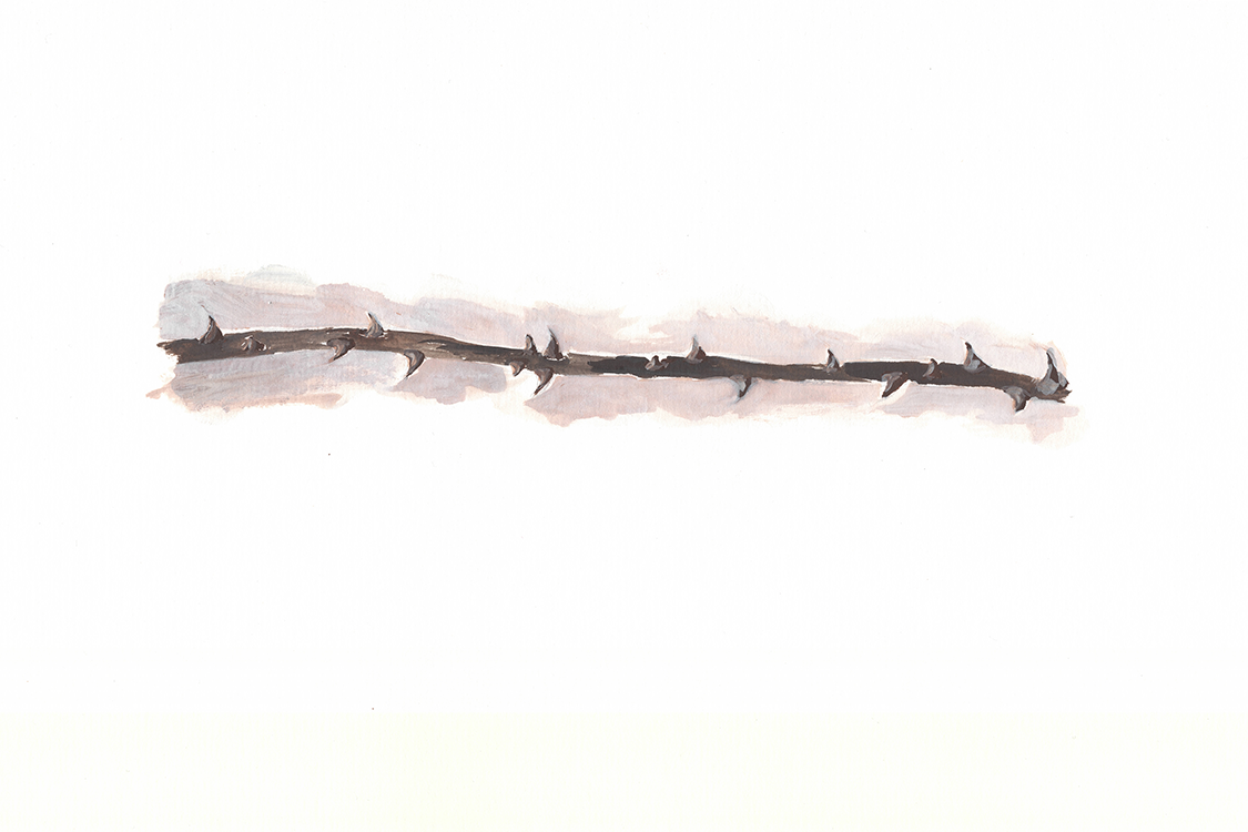 <I>Thorns</I> 2016 aquarel 24 x 32 cm
