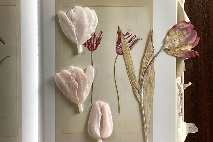 <I>Tulip</I> 2021 soapstone each tulip approx 0,7 x 5 x 8 cm