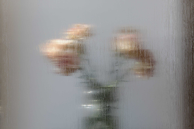 <I>Carnations</I> 2018 digital print on Hahnemühle paper 60 x 49 cm private collection