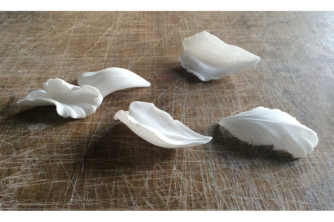 <I>Tulip petals</I> 2018 alabaster each petal approx 11 cm in length, private collection