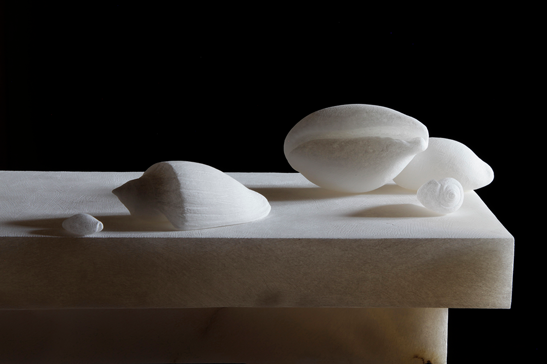 <I>Still life with shells - composition 6</I> 2023 digital print on Hahnemühle paper  19 x 31 cm