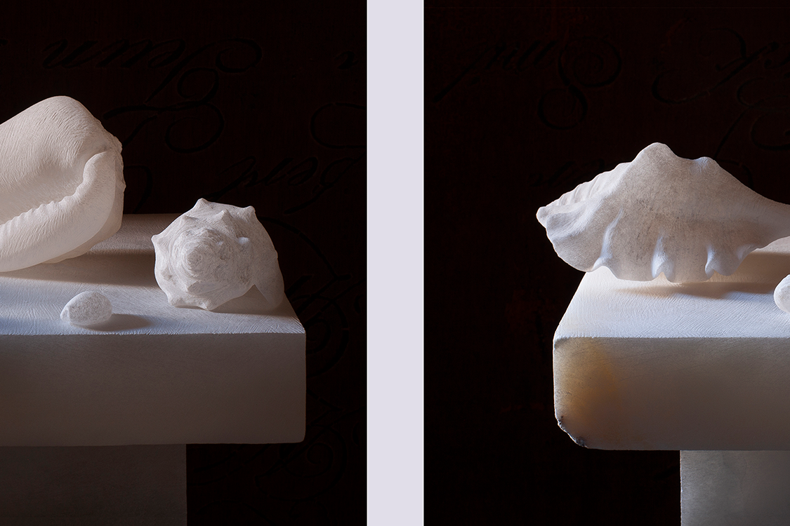 <I>Still life with shells (diptych)</I> 2023 digital print on Hahnemühle paper 17 x 26 cm (twice)