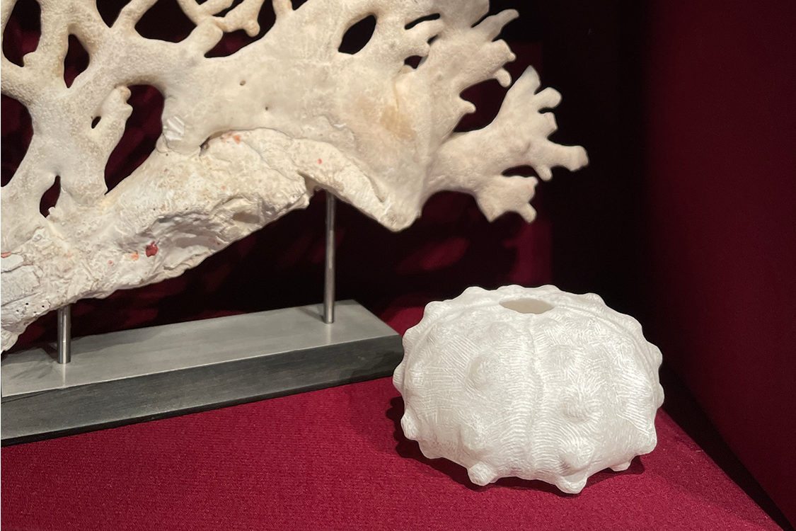 <I>Sputnik sea urchin</I> 2023 alabaster 4,5 x 8,5 x 8,5 cm private collection